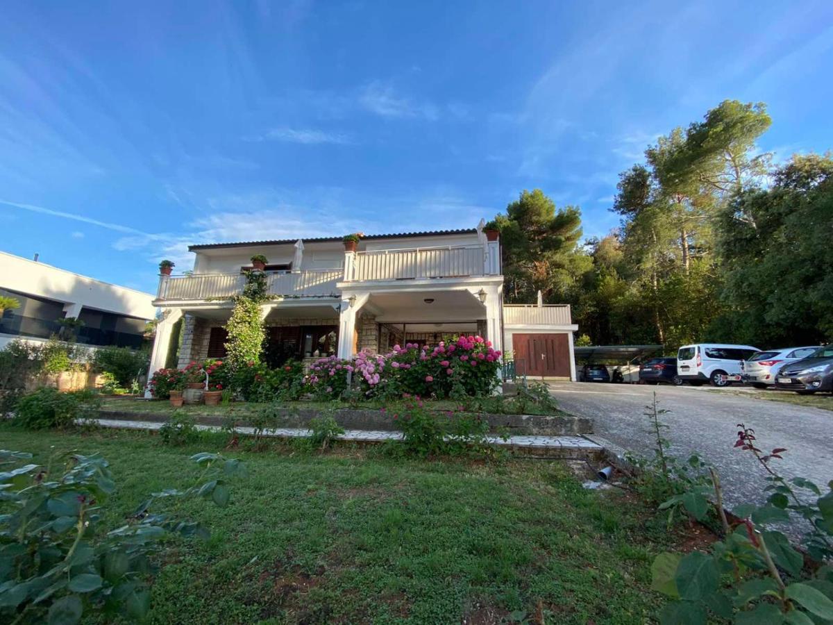 רוביני Villa Matohanca מראה חיצוני תמונה