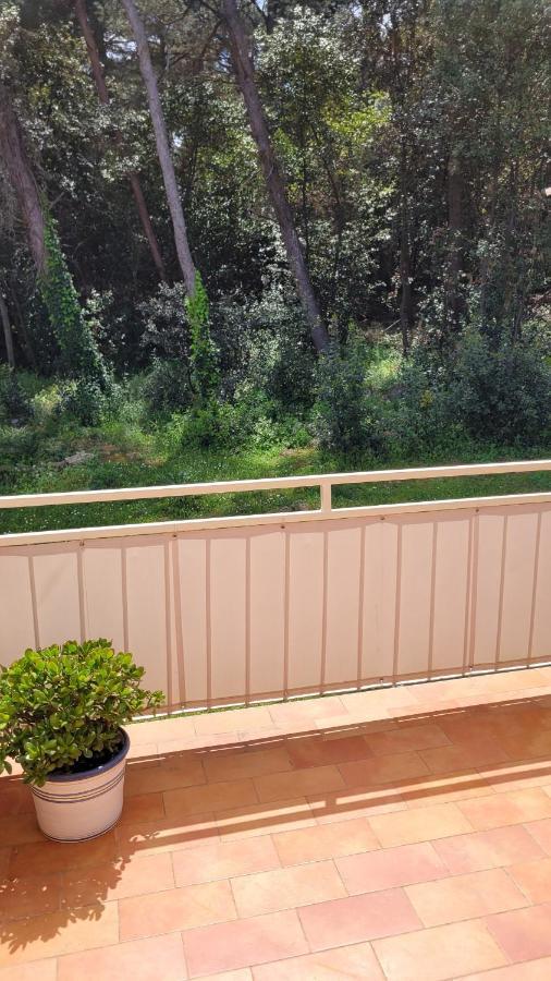 רוביני Villa Matohanca מראה חיצוני תמונה
